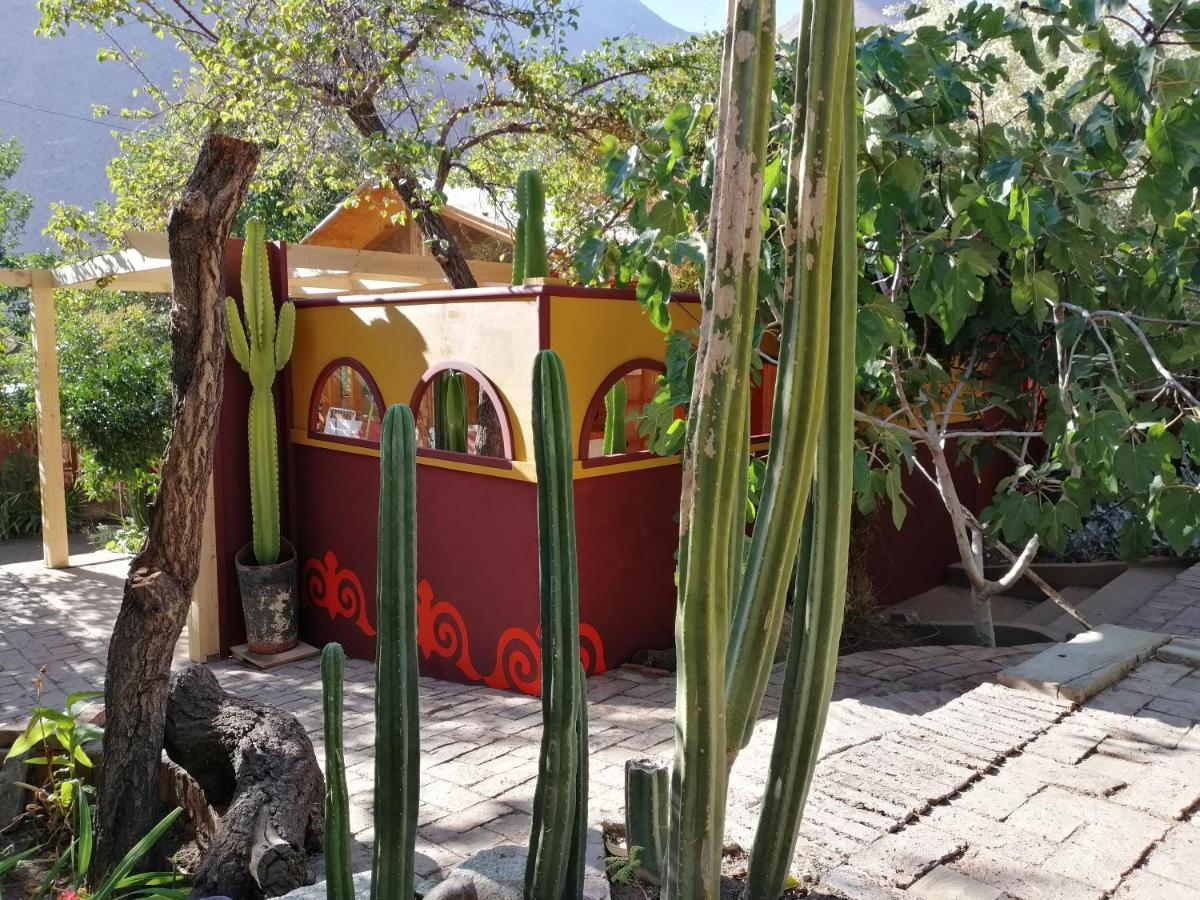 El Jardin Secreto-Pisco Elqui Apart otel Dış mekan fotoğraf