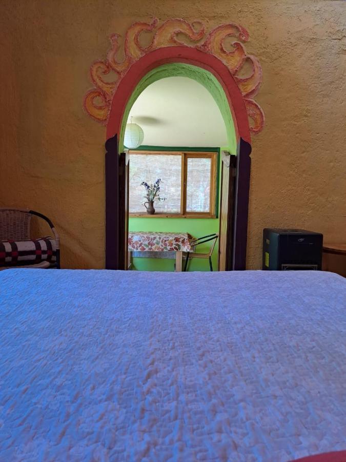 El Jardin Secreto-Pisco Elqui Apart otel Dış mekan fotoğraf